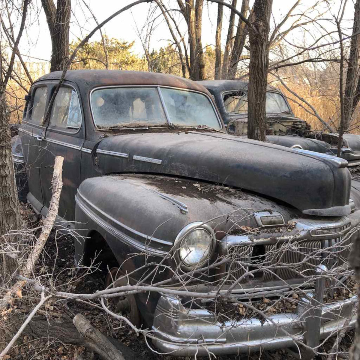 Sixty years of car collecting up for sale online: The Jim Lewis